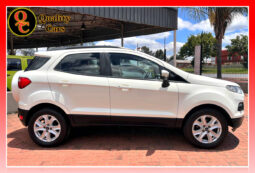 
										FORD ECOSPORT 1.0 ECOBOOST TREND full									